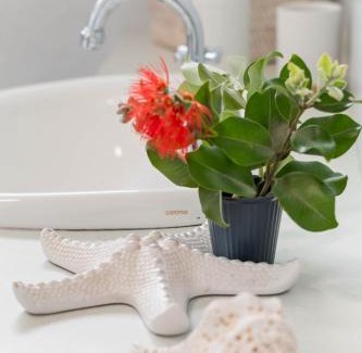 Brooms Head Casa | Stella LJHooker Yamba