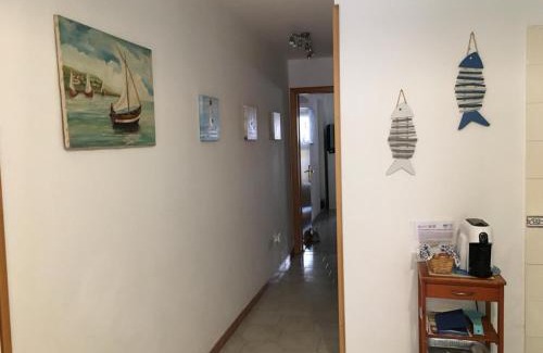 Anzio Casa | Stella marina