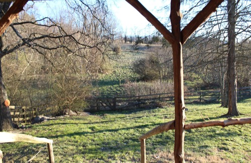 Jonesborough Cabina | Step back in time a charming 1880 historic cabin