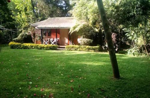Nanyuki Chalet De Esquí | Steve's cottage-homely