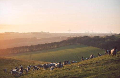 Eyemouth Casa | Stewards Cottage, Press Mains Farm Cottages
