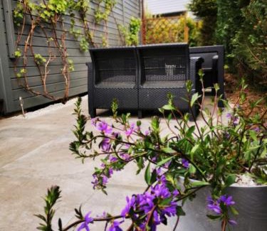Sasino Casa | Stilove Wydmy