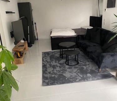 Steinsfurt Apartamento | Stilvolle 1-Zimmer Wohnung mit Terasse nahe Therme und Prezero Arena