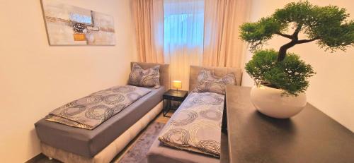 Jakomini Apartamento | Stilvolle moderne 3-Zimmerwohnung
