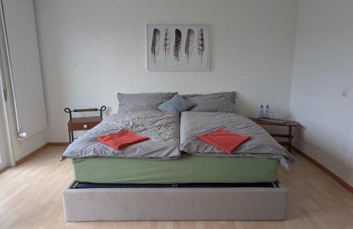 Oberwil Casa | Stilvolles Privatzimmer im Einfamilienhaus nahe Basel
