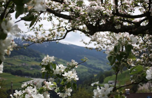 Schoenberg im Stubaital Apartamento | Stolznhof