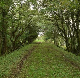 Letterston Casa | Stone cottage in rural Pembrokeshire
