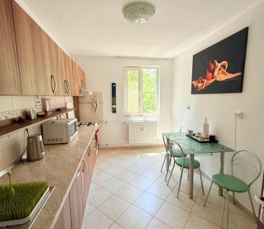 Drumul Taberei Apartamento | Stone Gate Apartment #2