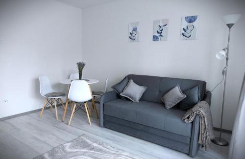 Tirgu Mures Apartamento | Stone Hill Apartment