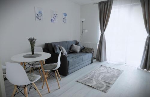 Tirgu Mures Apartamento | Stone Hill Apartment