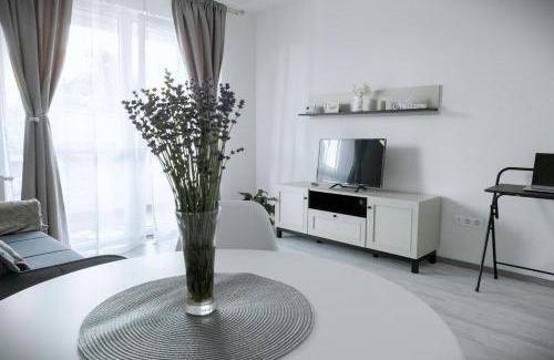 Tirgu Mures Apartamento | Stone Hill Apartment