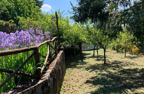 Loro Ciuffenna Casa | CASA DE PIEDRA EN EL CORAZÓN DE TOSCANA CON GRAN JARDÍN Y PISCINA