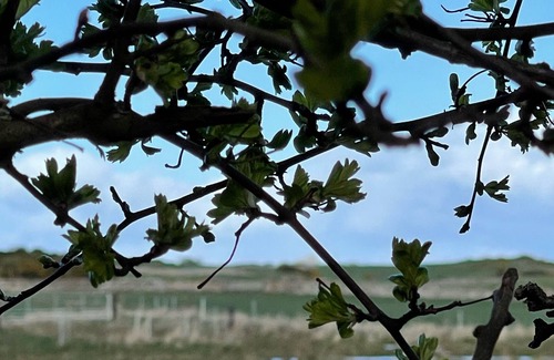 East Linton Casa | Casitas de campo de vacaciones Stonelaws: The Law Cottage