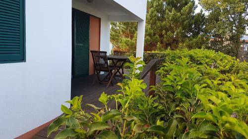 Ponta Delgada Casa | StoneWood Lodge AL