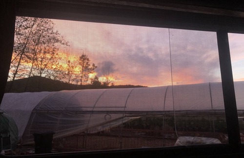 Candler Alquiler De RV | Stoney Creek Oasis Tent Sites and Glamping Yurts