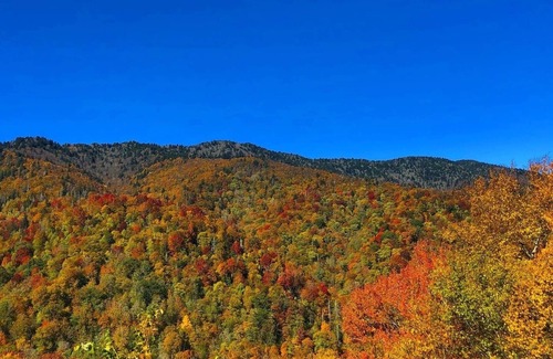 Candler Alquiler De RV | Stoney Creek Oasis Tent Sites and Glamping Yurts