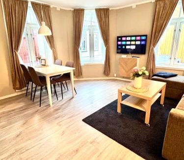 Trondheim City Centre Apartamento | Stor attraktiv studioleilighet i sentrum