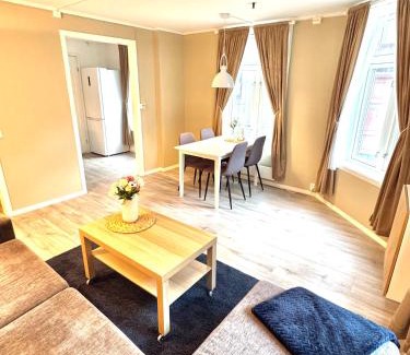 Trondheim City Centre Apartamento | Stor attraktiv studioleilighet i sentrum
