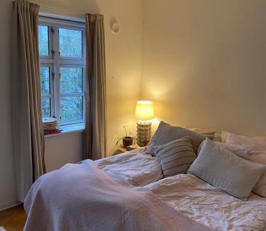 Odense Casa | Stort værelse udlejes i herskabslejlighed midt i Odense by