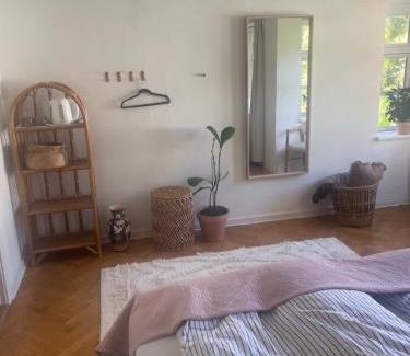 Odense Casa | Stort værelse udlejes i herskabslejlighed midt i Odense by