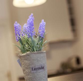 Brasov City Centre Apartamento | Strada Mureșenilor - Savas Apartament