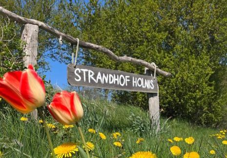 Gluecksburg Casa | Strandhof Holnis