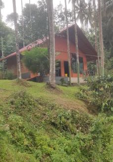 Virarajendrapet Casa | STREAM side