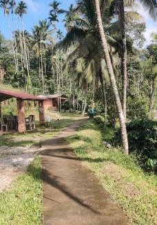 Virarajendrapet Casa | STREAM side