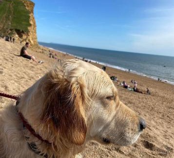 Bridport Chalet De Esquí | Strongate Orchard Farm stay Bridport Dorset- Jurassic Coast 10 min drive
