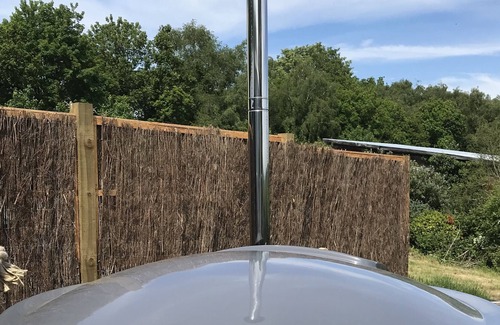 New Forest District Cabina | Stud Farm