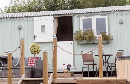 New Forest District Cabina | Stud Farm