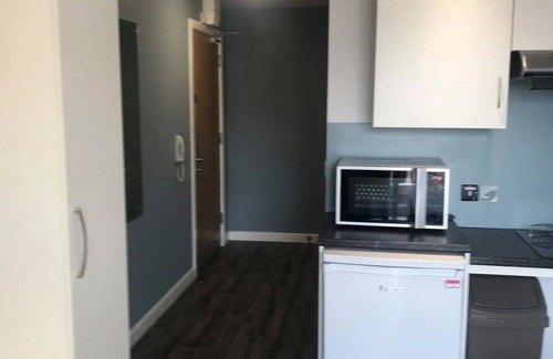 Belfast City Centre Apartamento | Student Only Botanic Studios