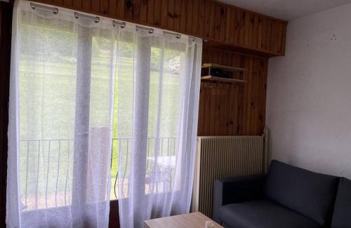 Peone Apartamento | studio à valberg idéalement situé et rénové