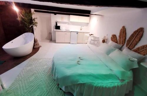 Les Arcs-sur-Argens Apartamento | Studio équipé avec Lit rond/baignoire ilot/Table massage Aux Arcs