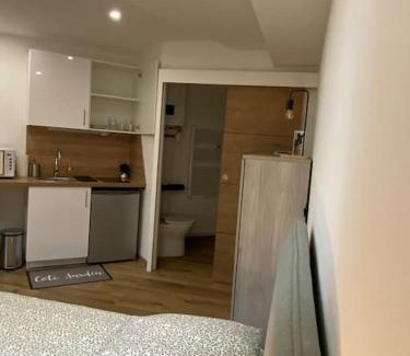 Ile Verte Apartamento | Studio Île-Verte entièrement rénové - Proche tram