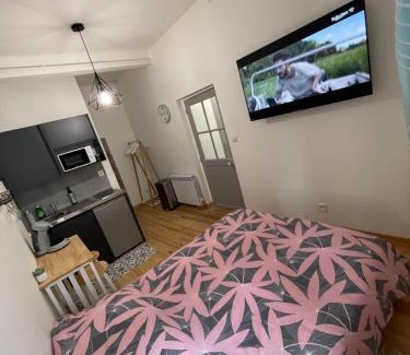 Bourges Apartamento | Studio #1 hyper centre Gordaine