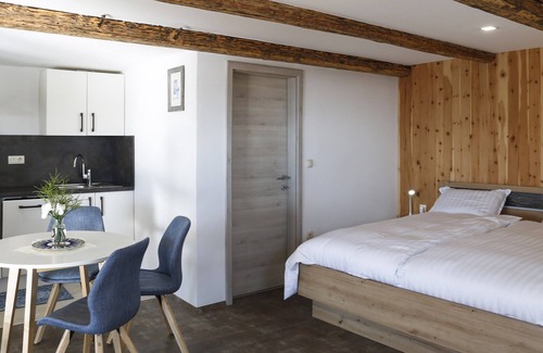 Dravograd Apartamento | Studio 1111 with Sauna & Hot Tub