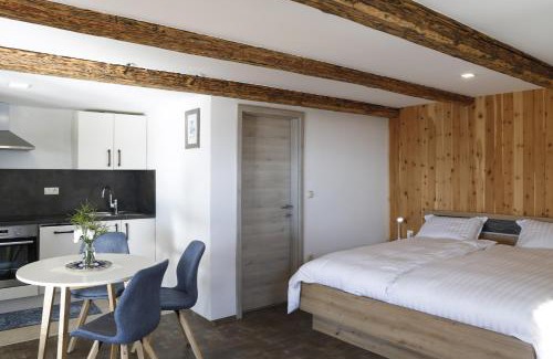 Dravograd Apartamento | Studio 1111 with Sauna & Hot Tub