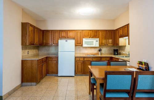 Shearer Hills - Ridgeview Apartamento | Estudio accesible a 15 minutos del Alamo! El | Desayuno gratuito + piscina al aire libre y bañera de hidromasaje