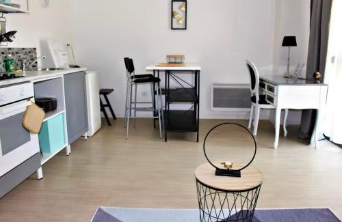 Anatole France Danton Apartamento | Studio 18