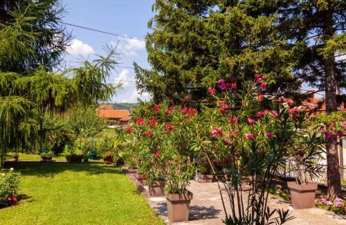 Golubac Apartamento | Studio 2