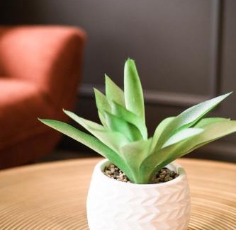 Magog Apartamento | Studio 21 charme et confort au coeur de Magog