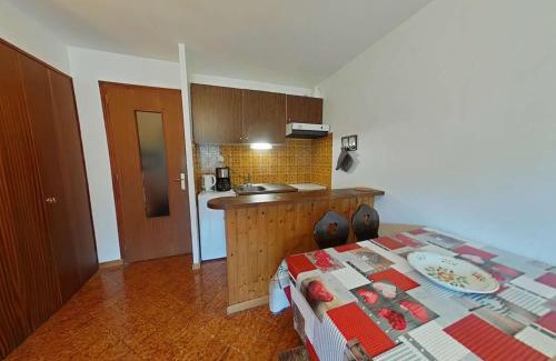 Le Grand-Bornand Apartamento | Studio 4 couchages, proche télécabine, parking, animaux acceptés - FR-1-241-75