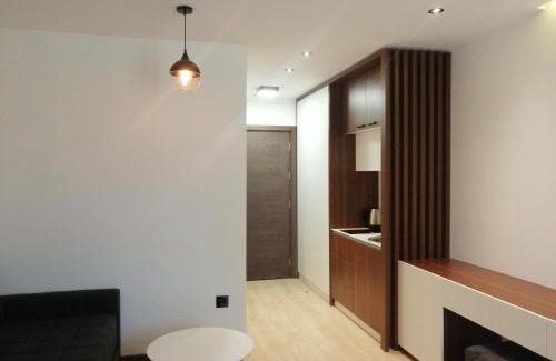 Kopaonik Apartamento | Studio 42 Zoned Kopaonik