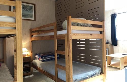 Arette Apartamento | Studio 6 pers, à côté des pistes, parking & ascenseur, casier à skis, proche commerces - FR-1-602-101