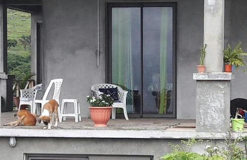 Coromandel Casa | Studio Amanda