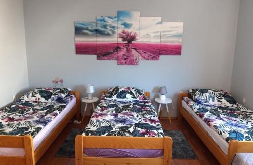 Ogulin Apartamento | Studio apartman CENTAR