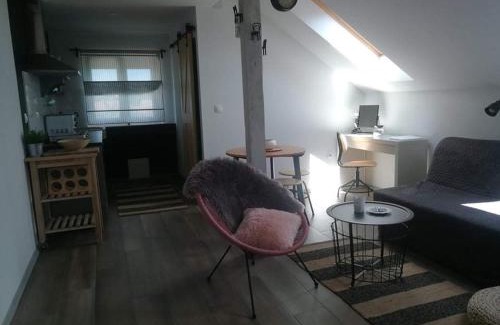 Dreznik Grad Apartamento | Studio apartman HANA
