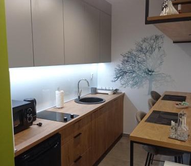 Pale Apartamento | Studio Apartman Pale