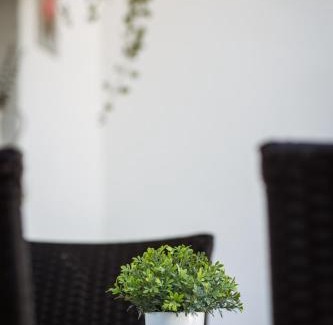 Osijek Apartamento | Studio Apartman PlanB, self CHECK IN